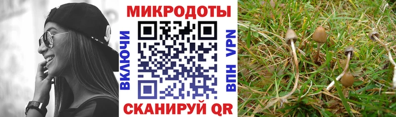 Галлюциногенные грибы MAGIC MUSHROOMS  Зарайск 